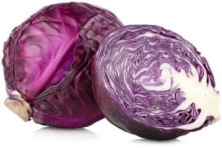 85c07b97ca1875a0311a148565f14614