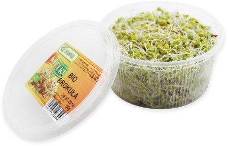 76bceff3123f7bdacef5895e8551c1a5