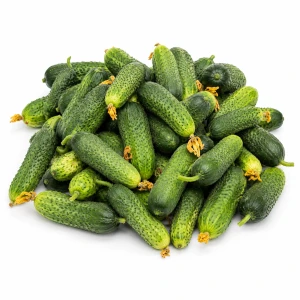 OGÓREK GRUNTOWY BIO ŚWIEŻY (OKOŁO 1 KG) - GOSPODARSTWO EKOLUD