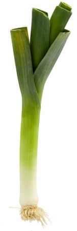 ekolud-zdrowa-zywnosc-por-bio.jpg